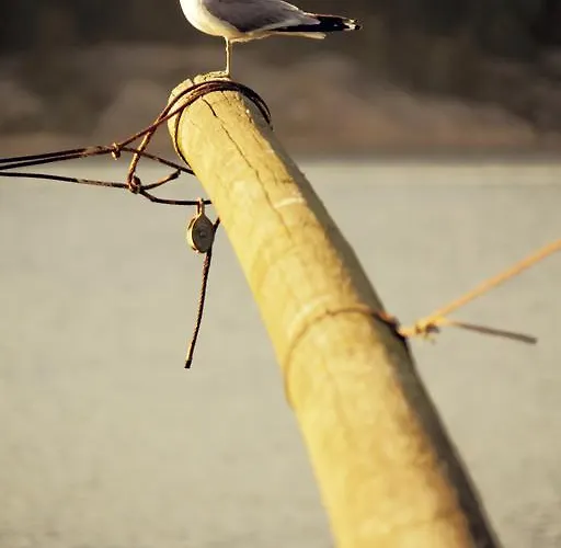 Semesteranläggning (resort) Sorlandet Feriesenter
